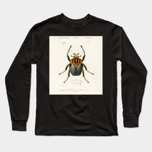 Goliathus cacicus illustrated by Charles Dessalines D' Orbigny (1806-1876 Long Sleeve T-Shirt